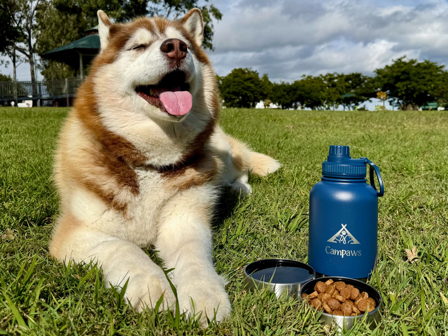 Pet Outdoor 3-in-1 Food & Water Bottle